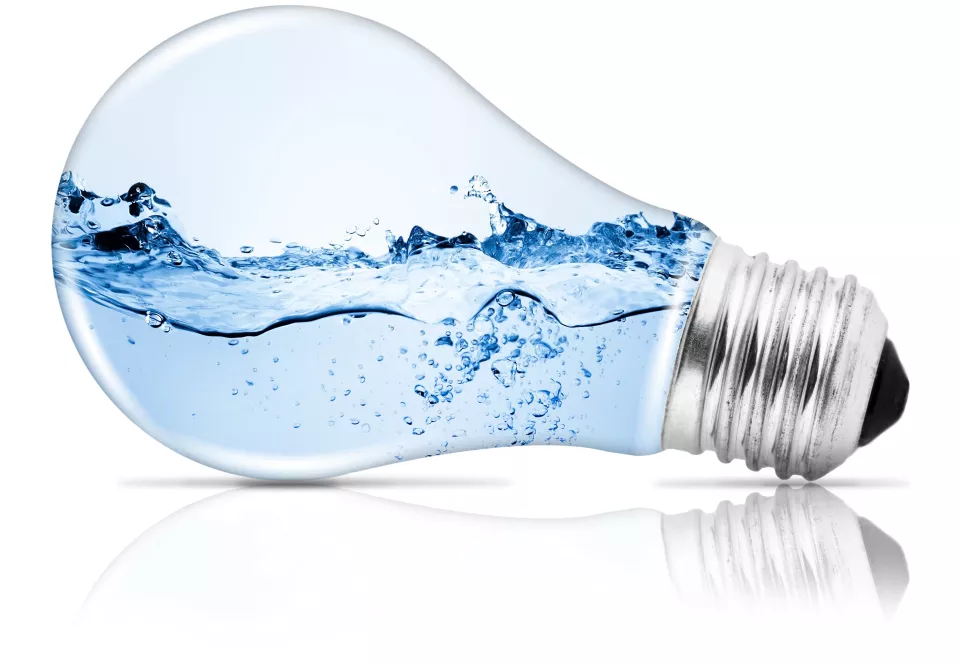 Wasserstrom Wasserstrom